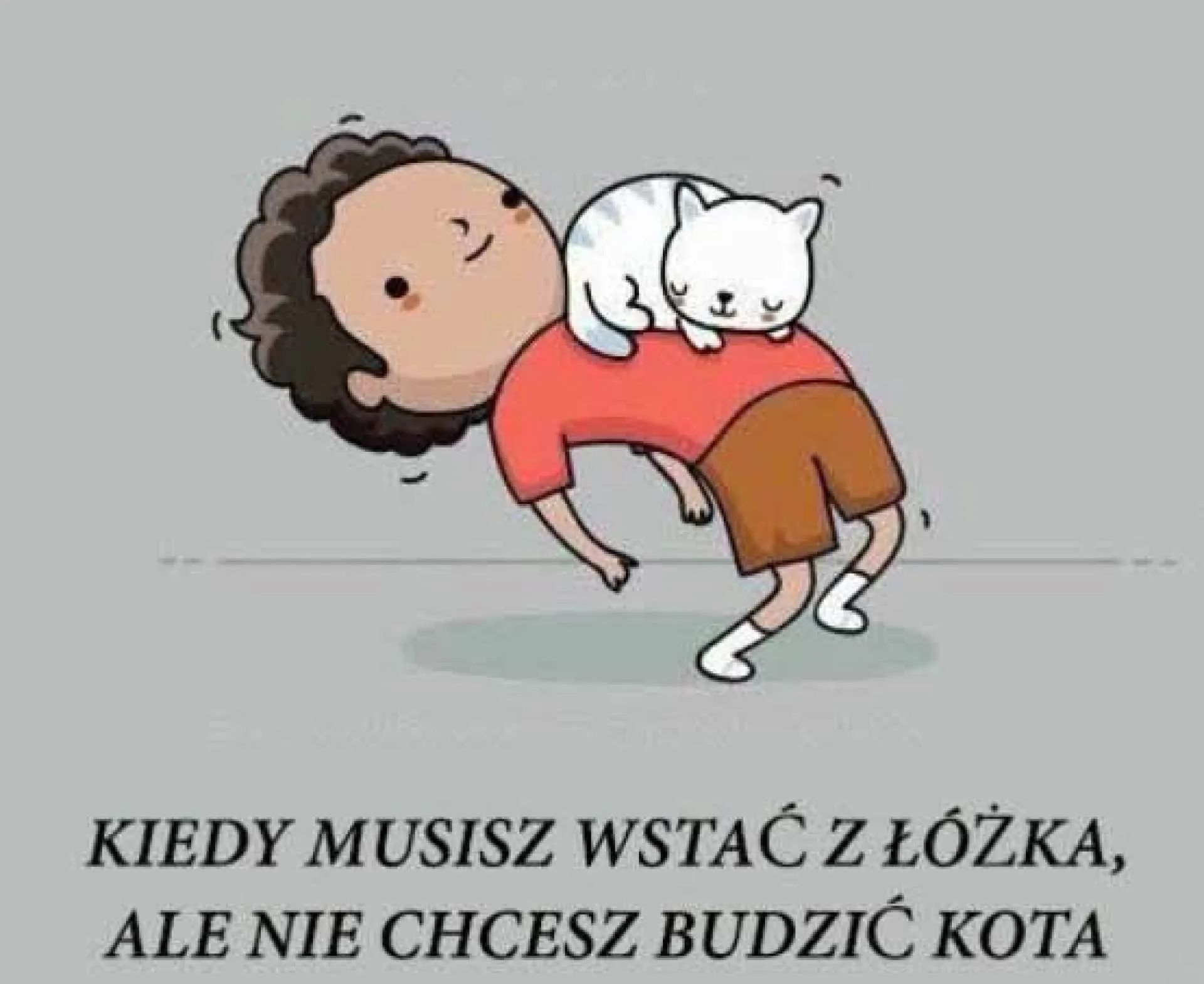 Kot i właściciel