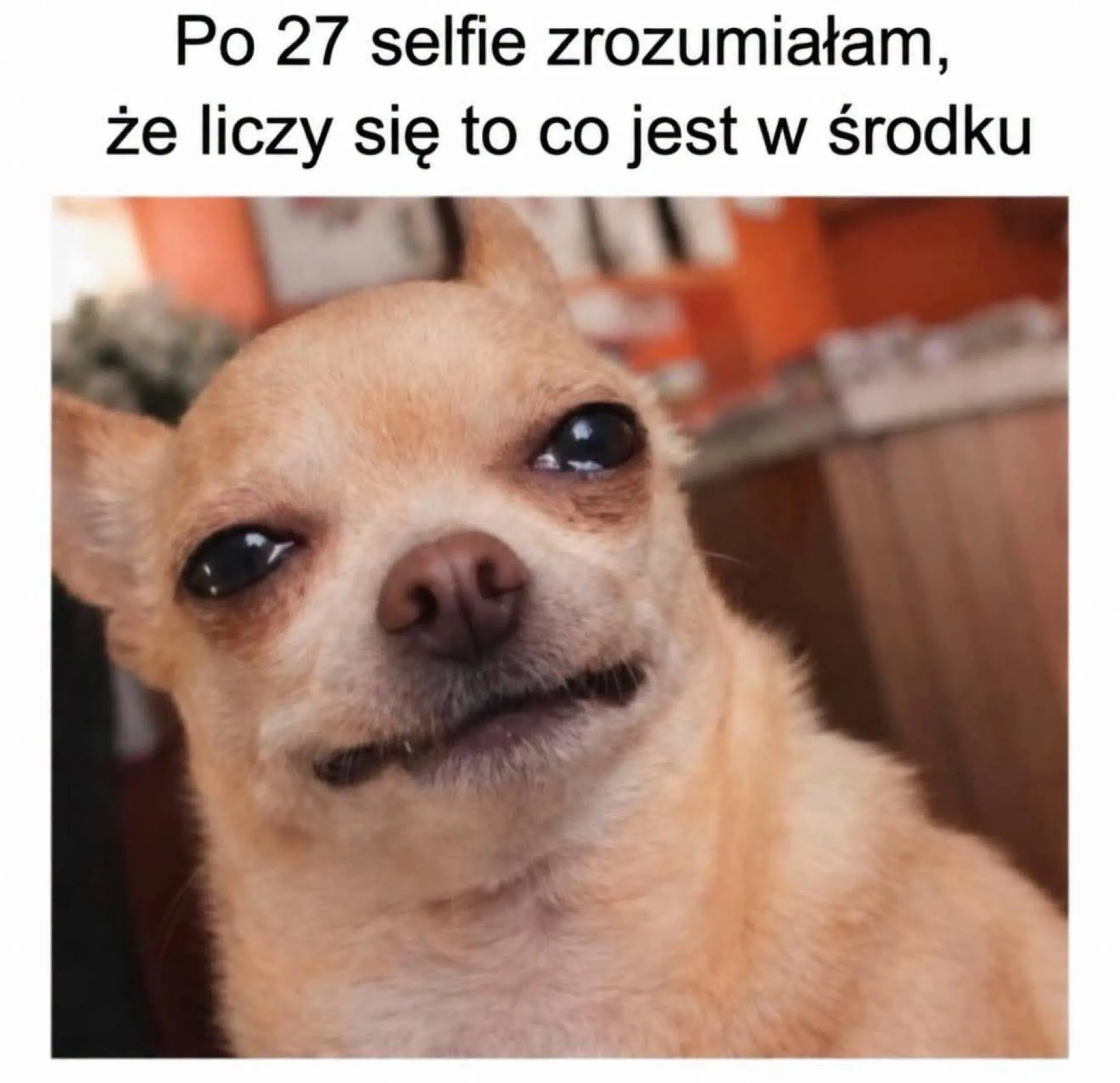 To, co w środku