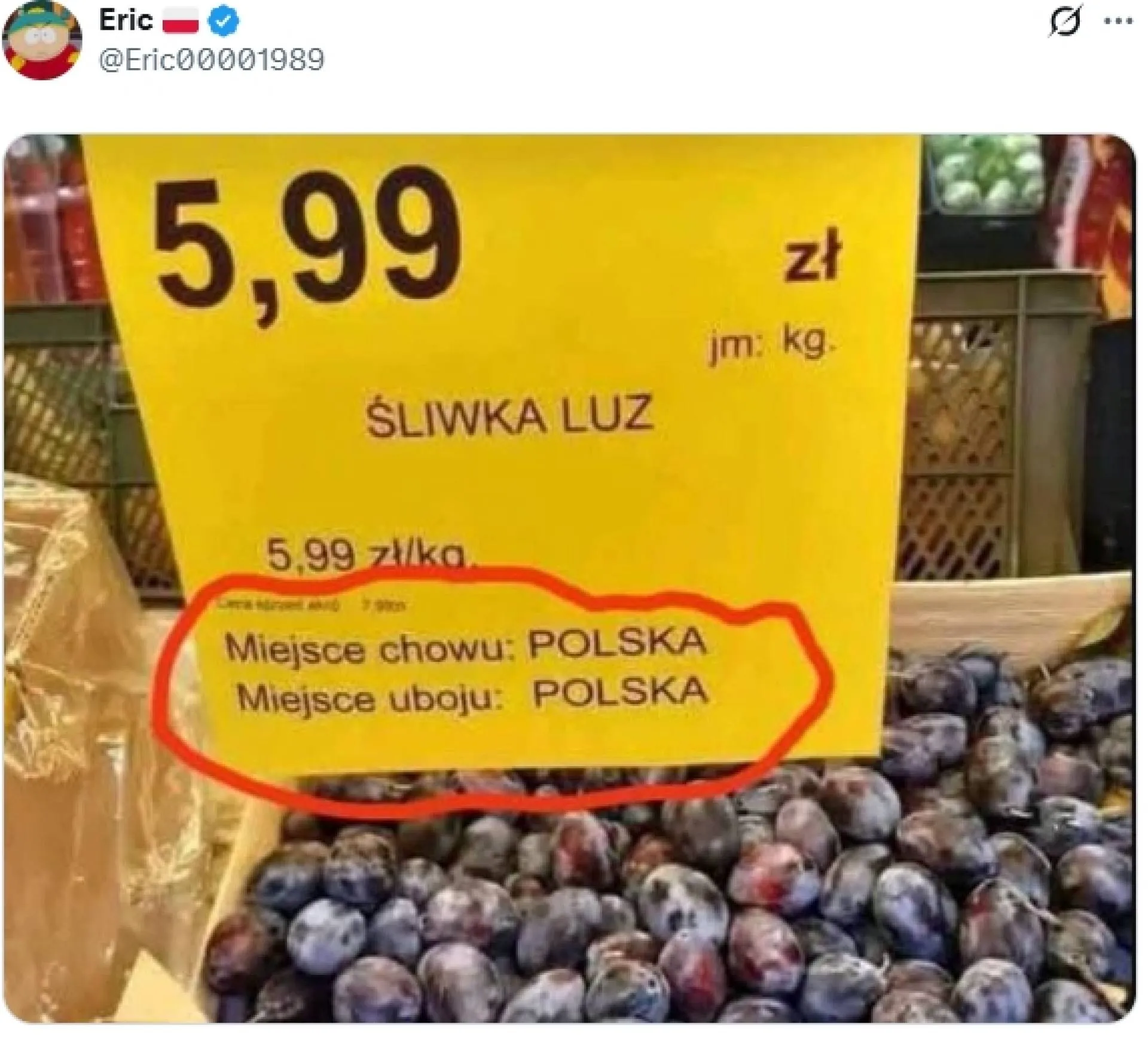 Śliwka luz