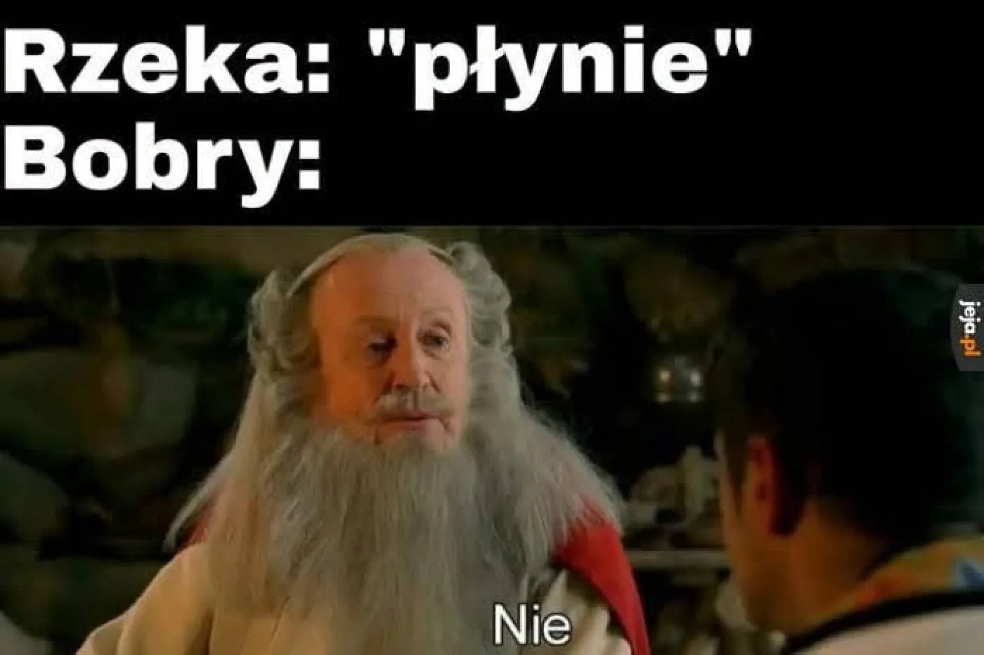 Bobry mają inne plany