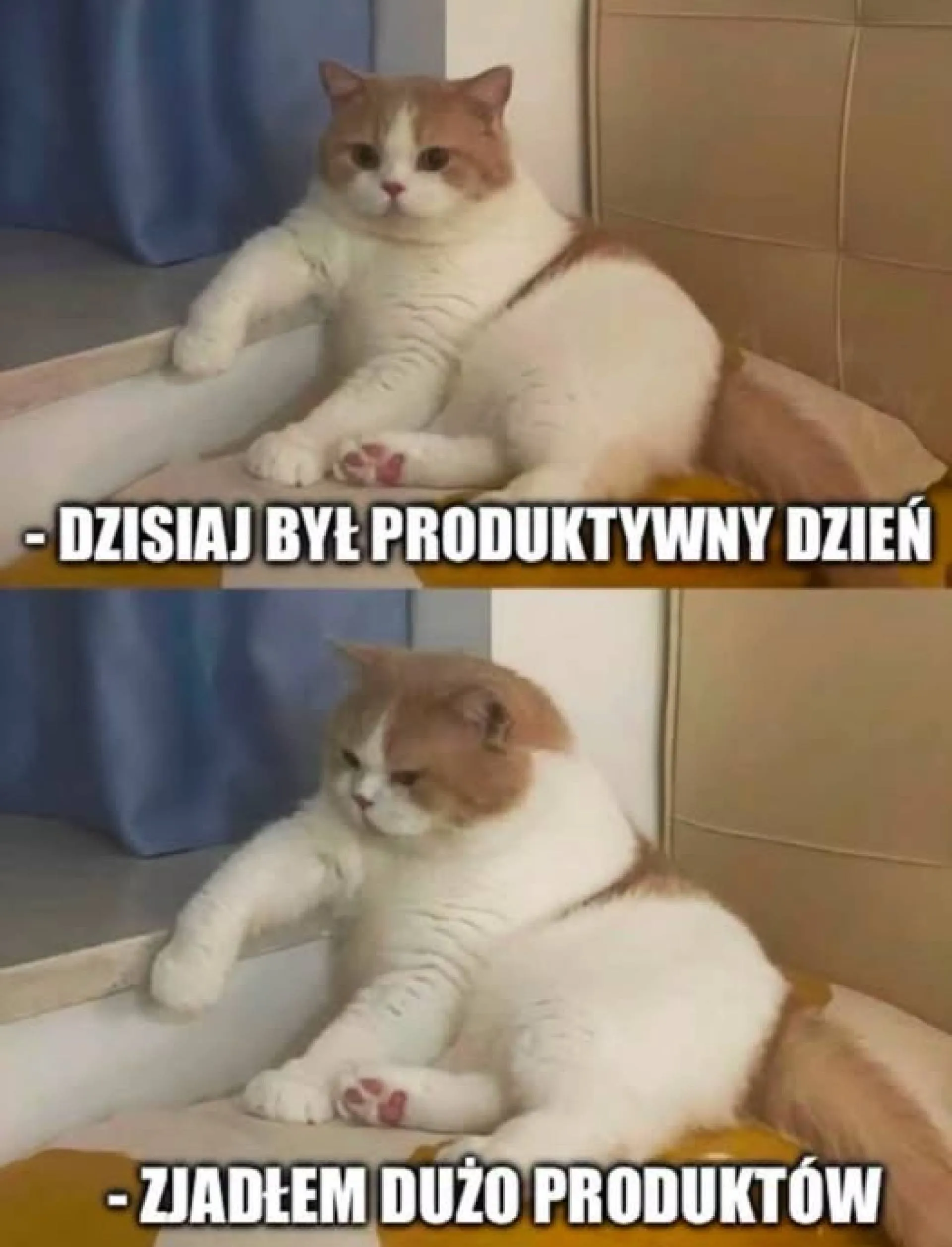 Produktywny dzień
