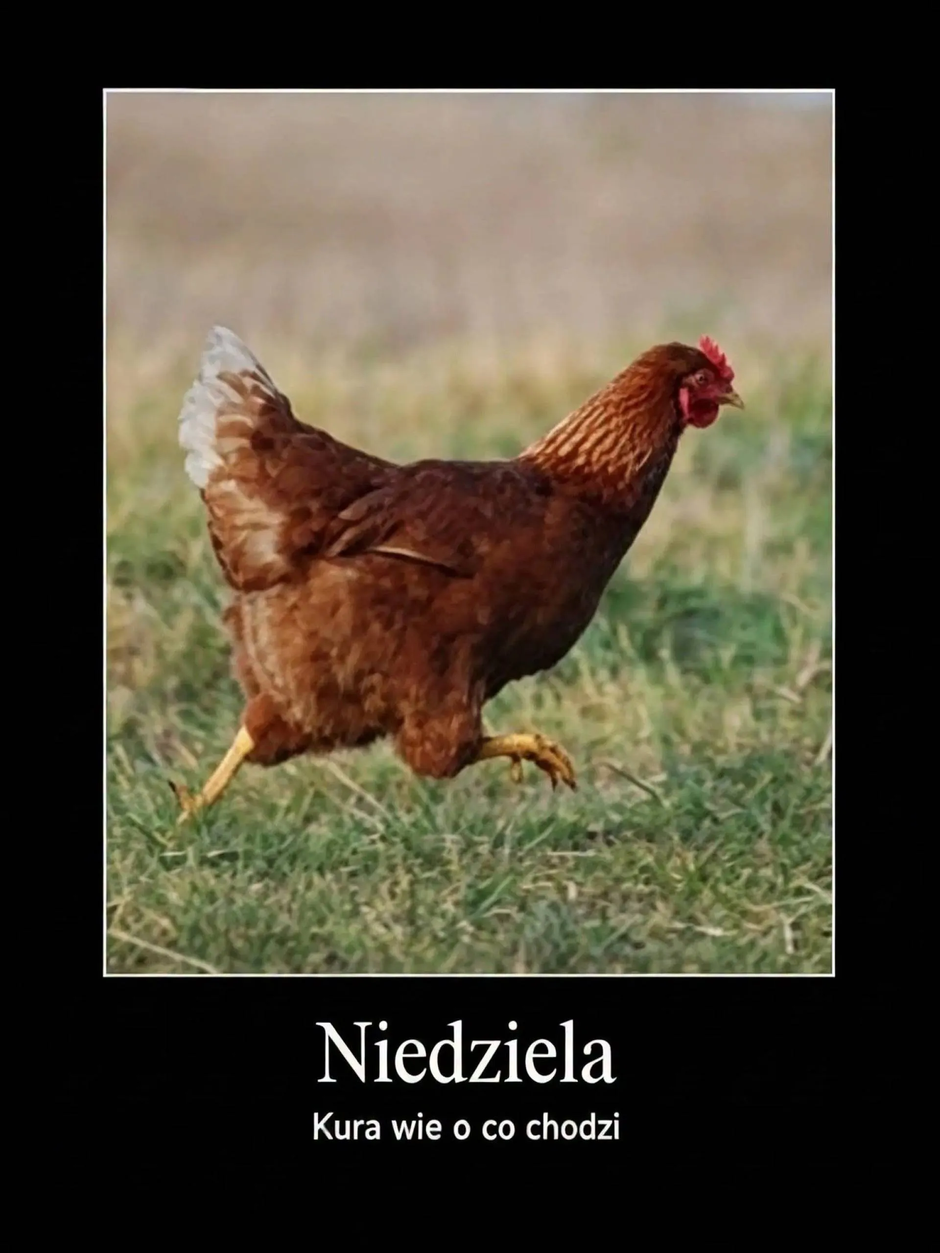 Niedziela