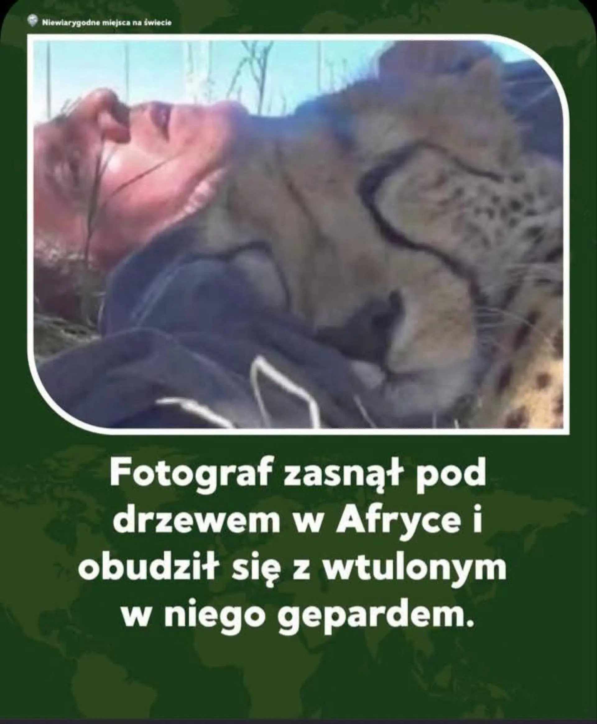 Co za fotka