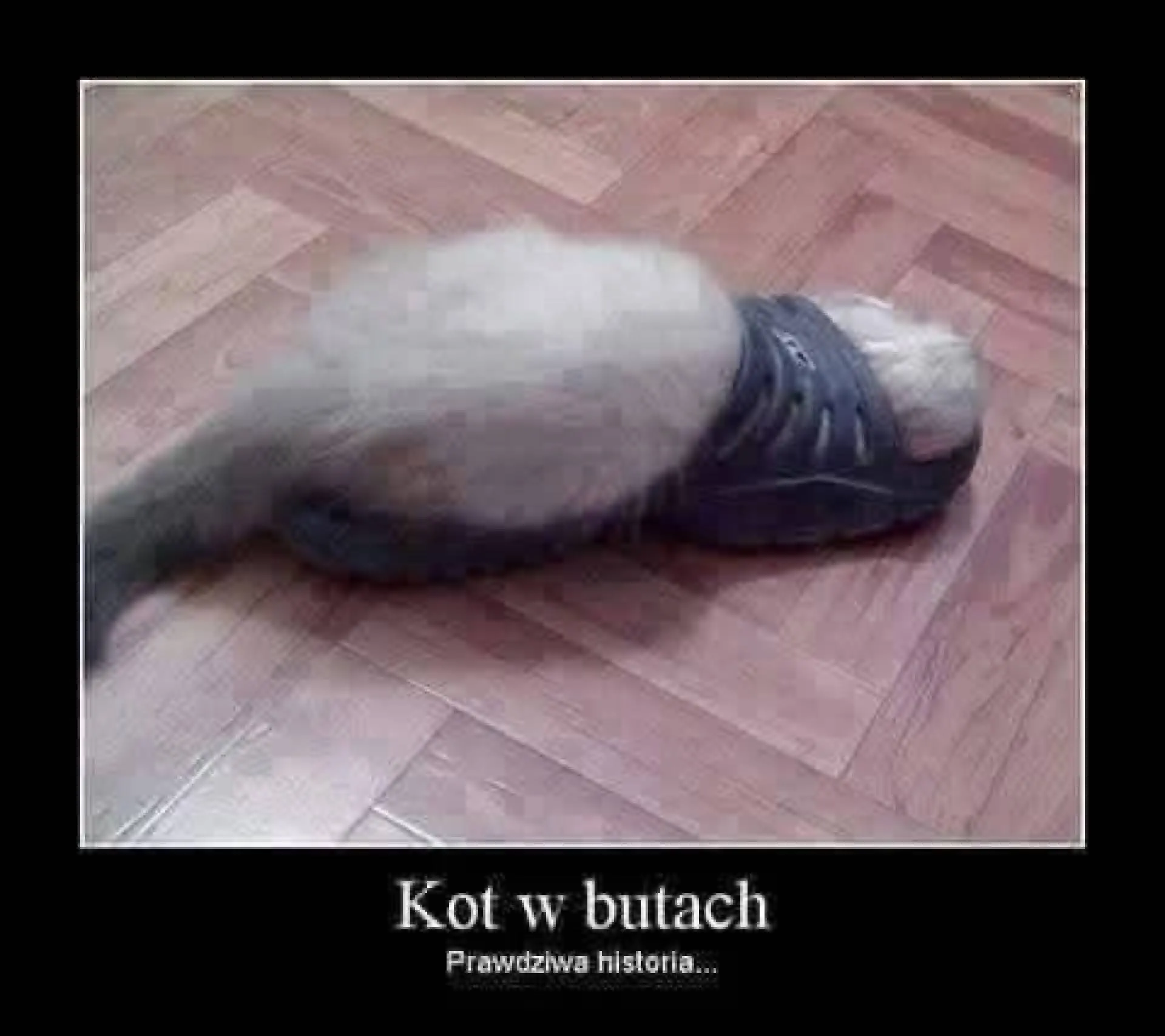 Dosłownie