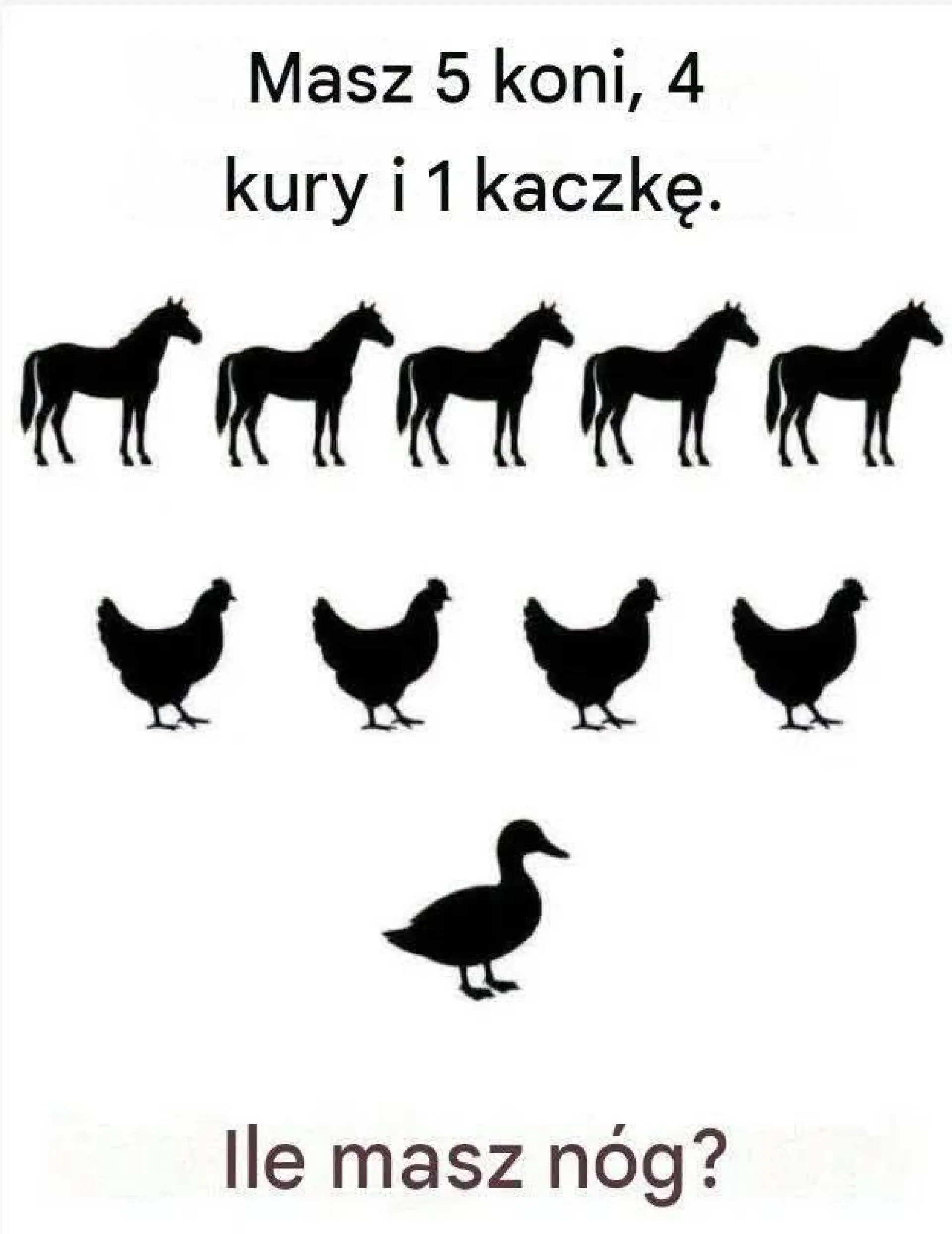 Zagadka