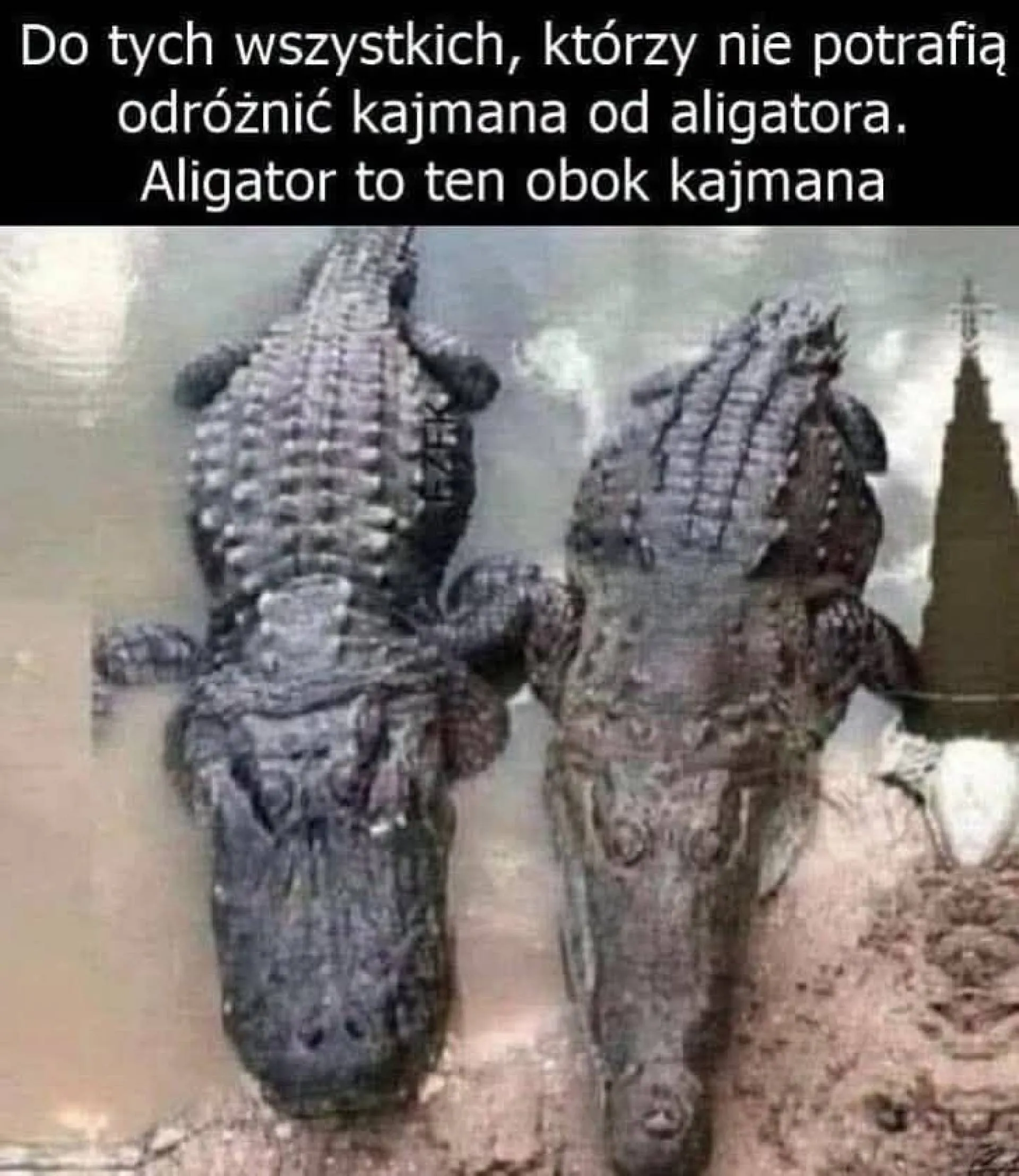 I wszystko jasne