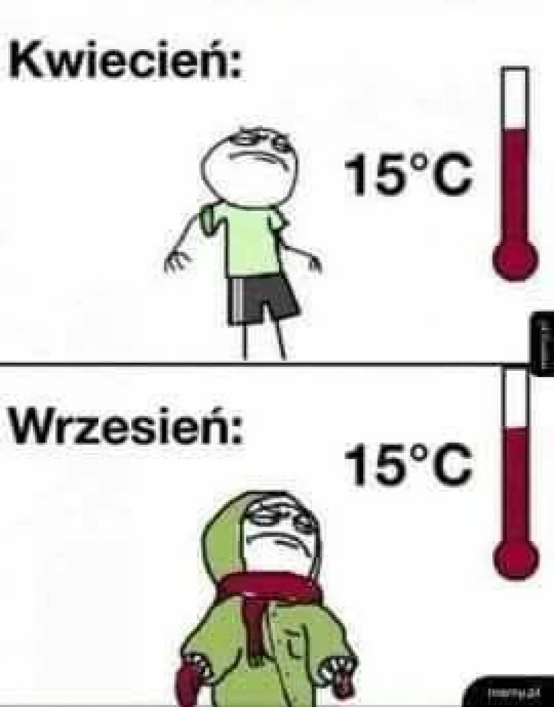 Tak to wygląda