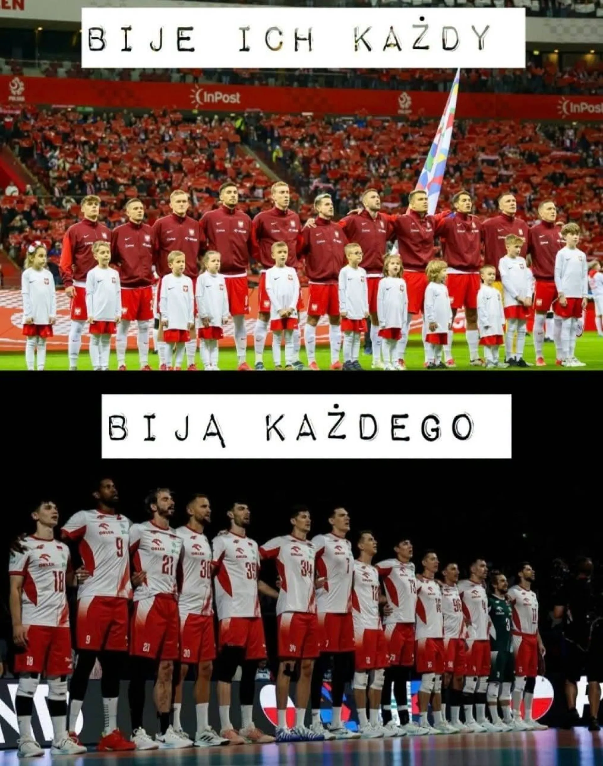 Bici i bijący