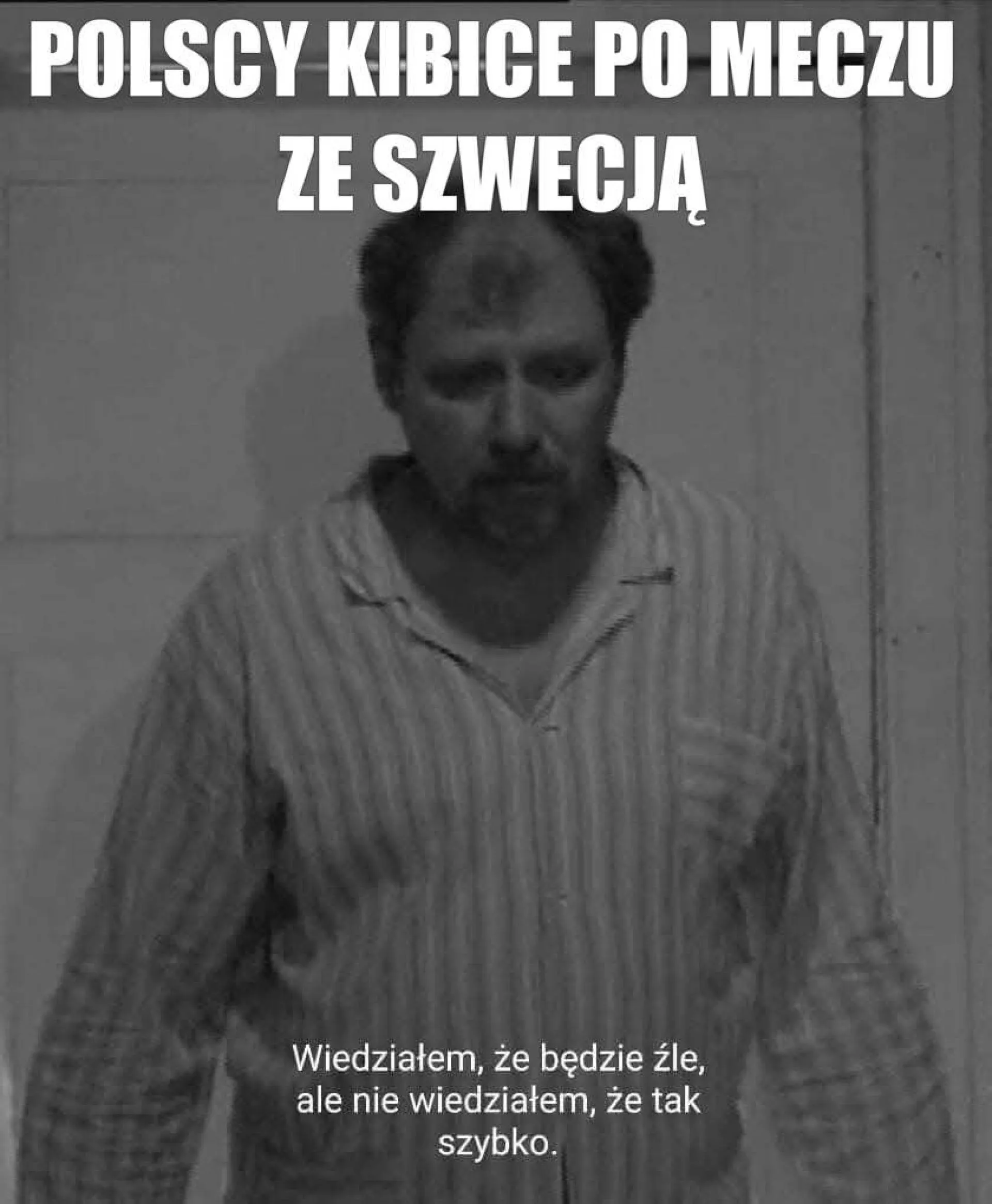 Kibice