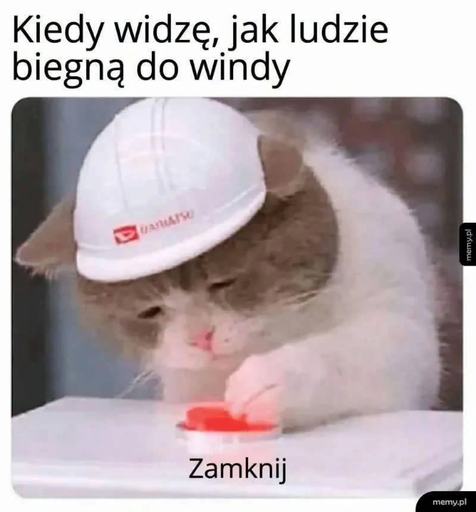 Winda