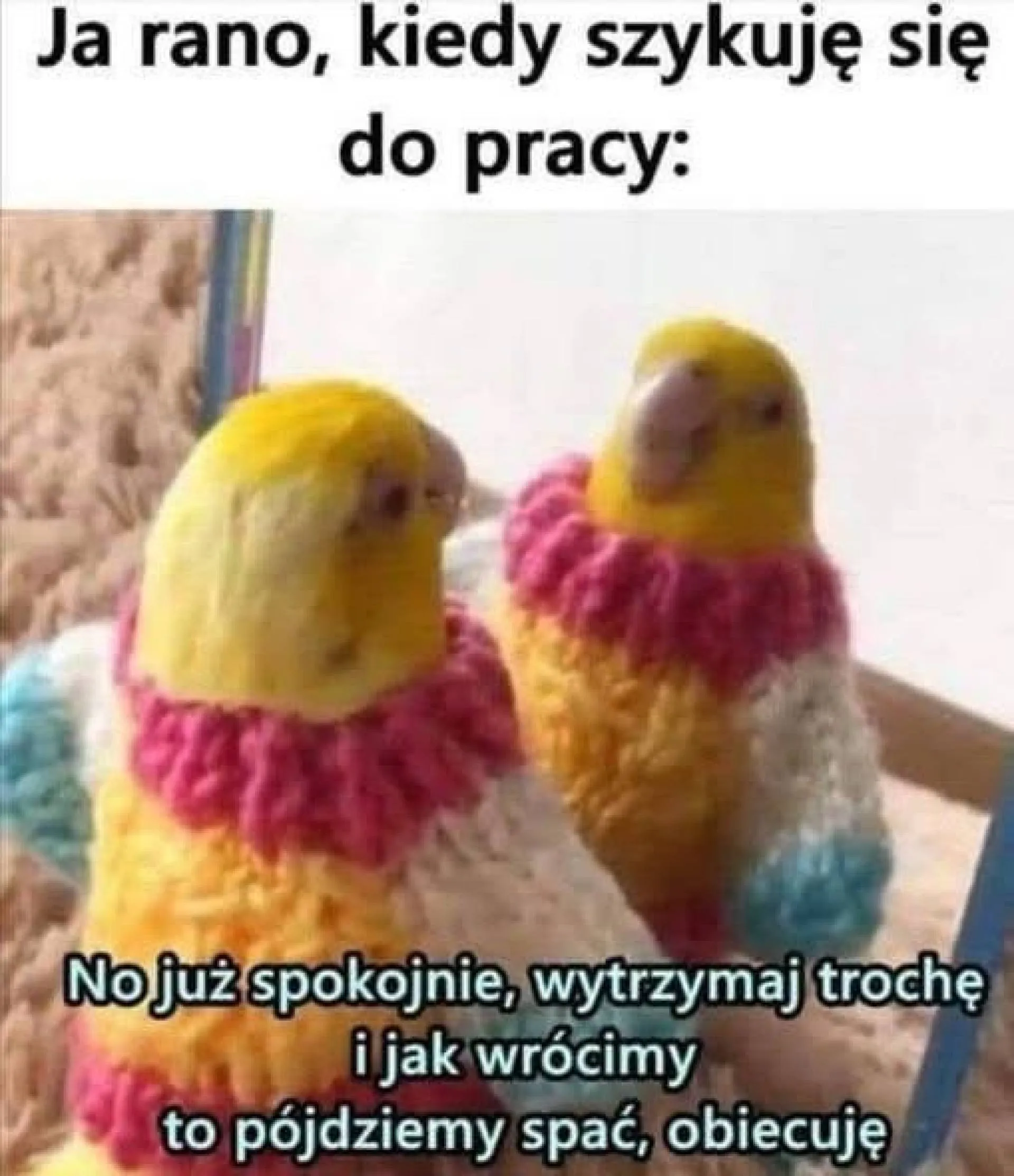 Do roboty