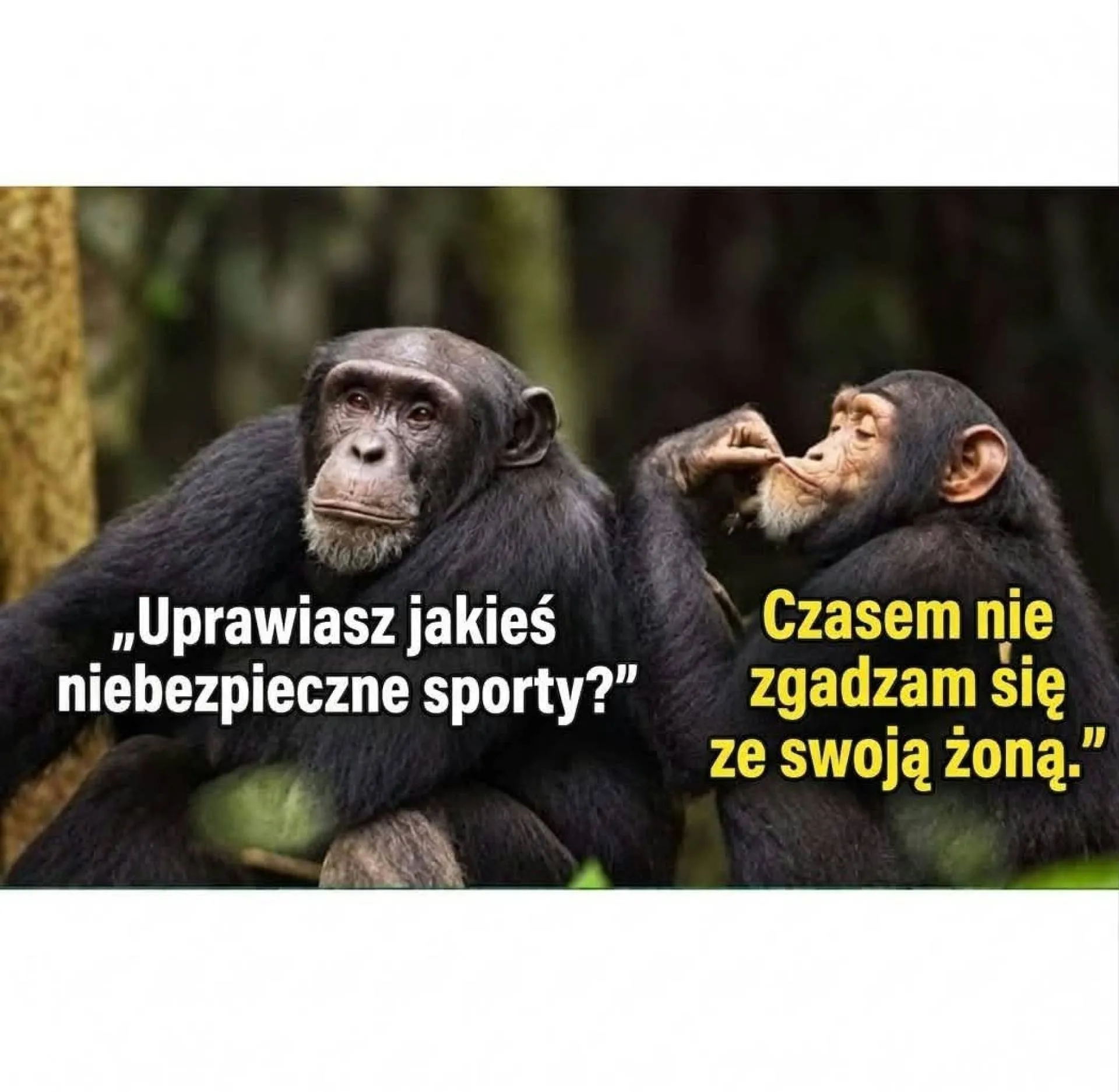 Niebezpieczny sport