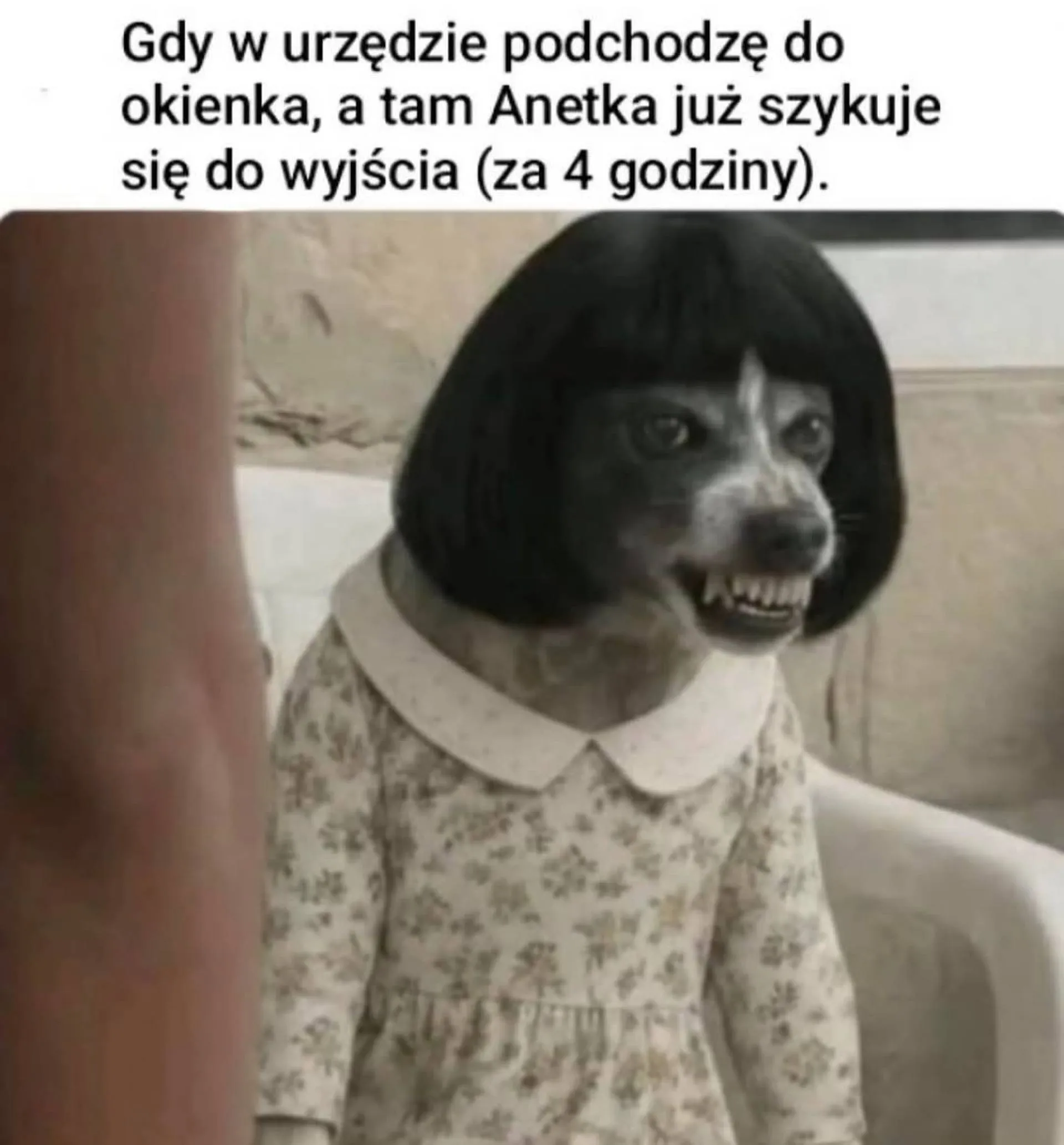 W urzędzie