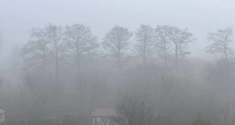 Mgła nadciąga nad pół Polski. Ostrzeżenie IMGW