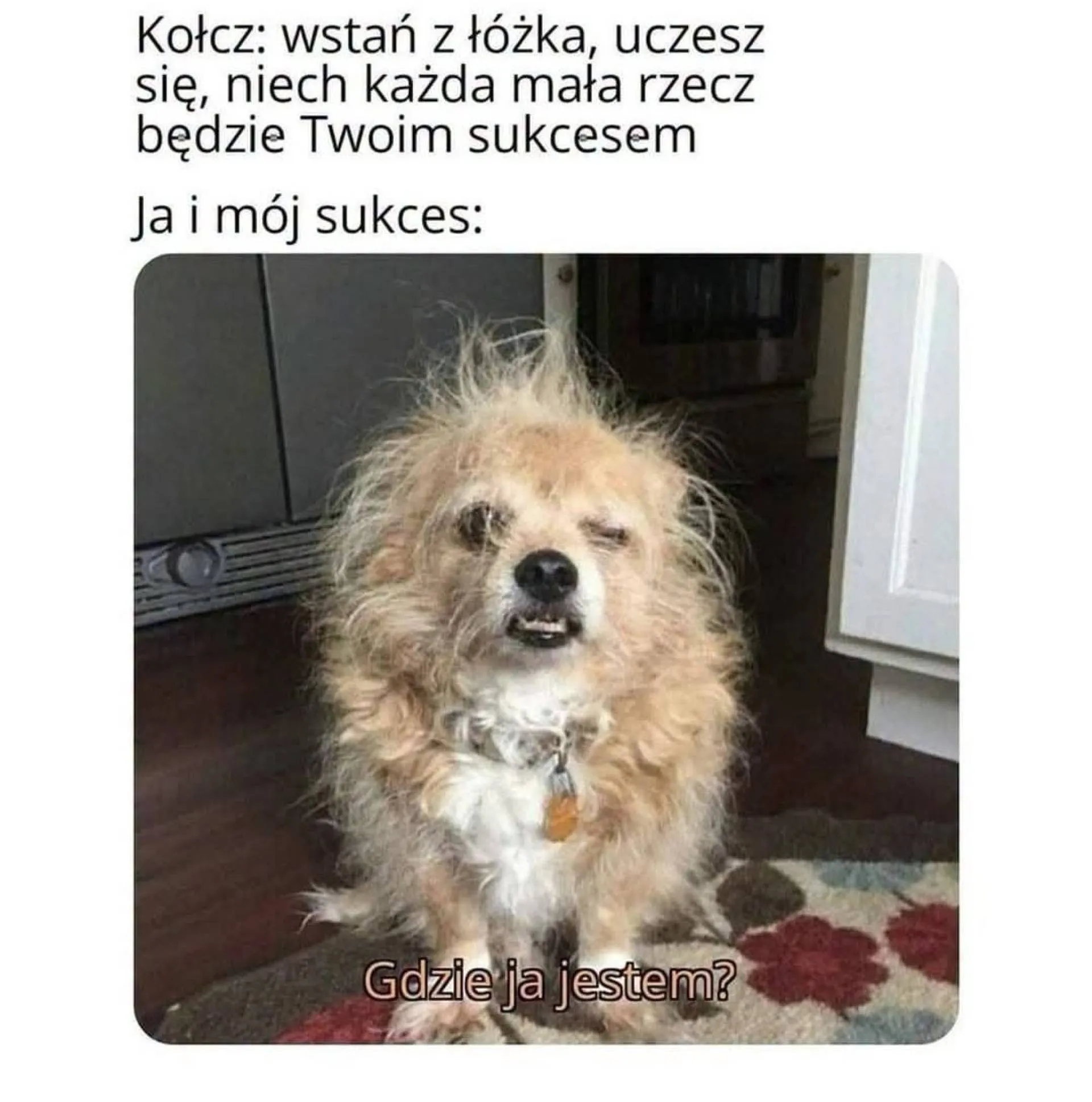 Ja i mój sukces