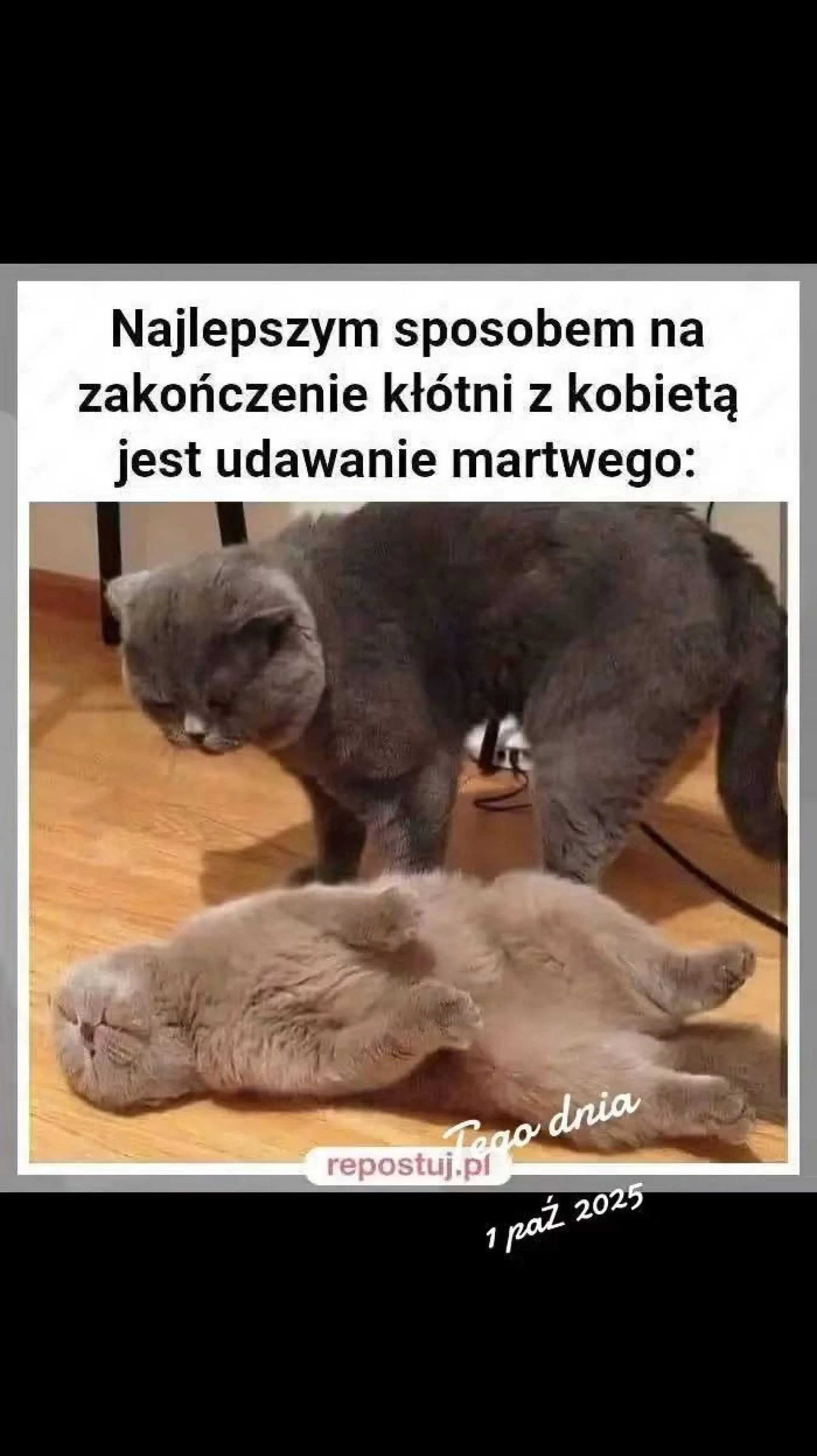 Sposób na kłótnię