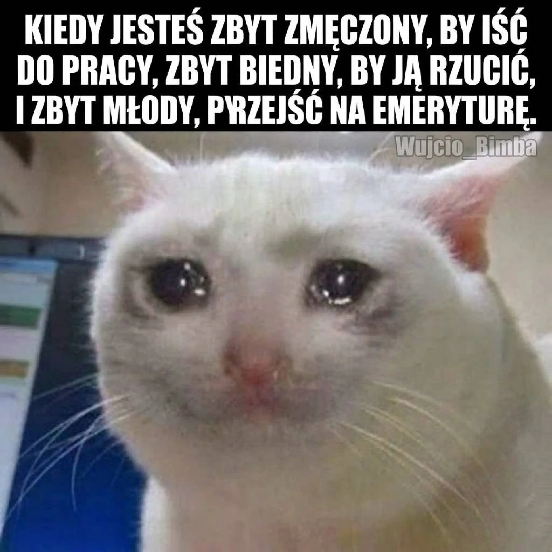 Ajajaj