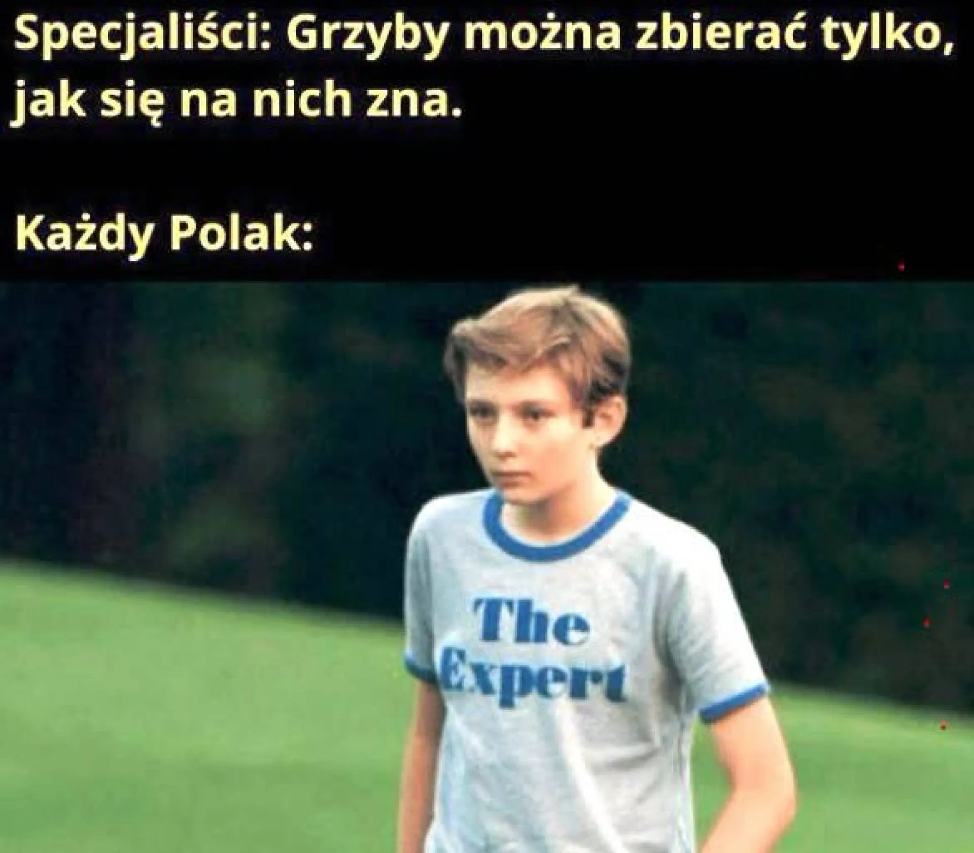 Grzybiarze eksperci