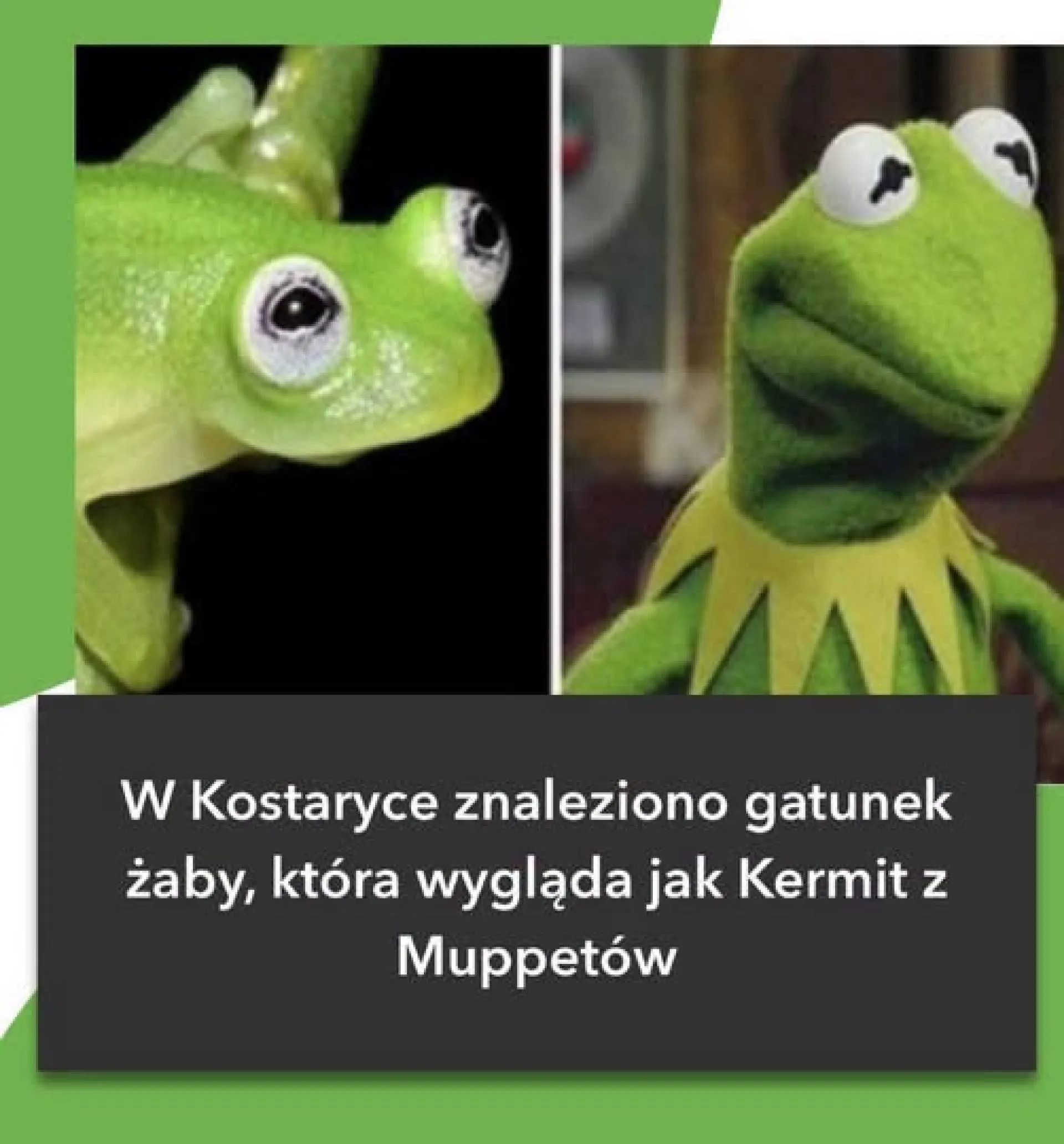 Podobne
