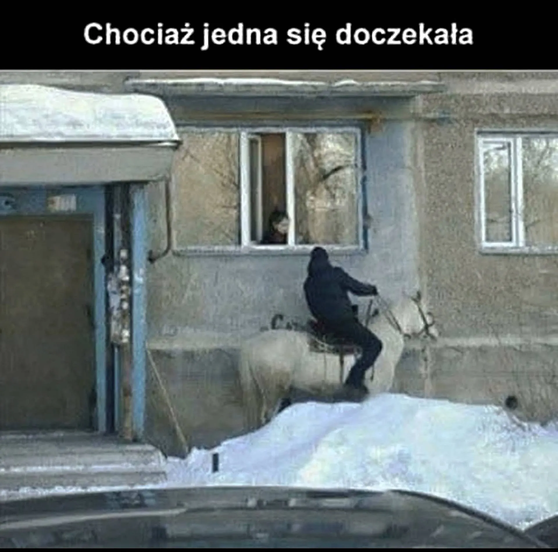 Na białym koniu