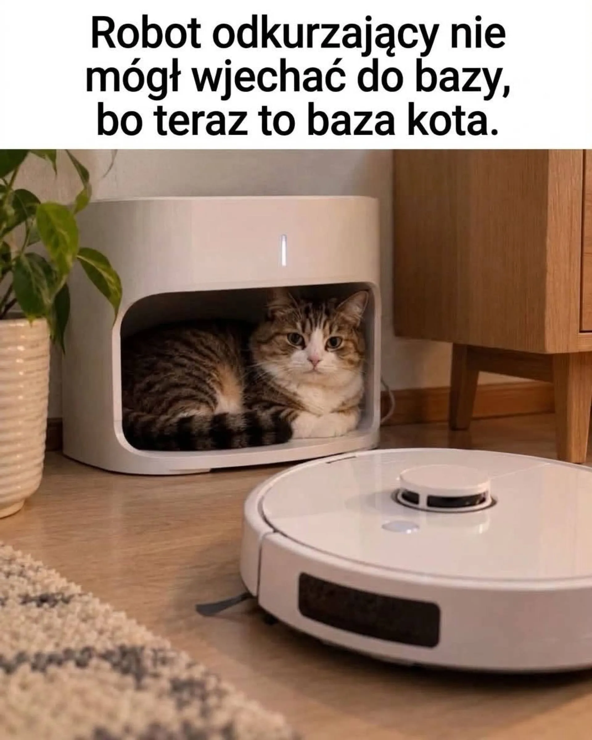Nowy właściciel bazy