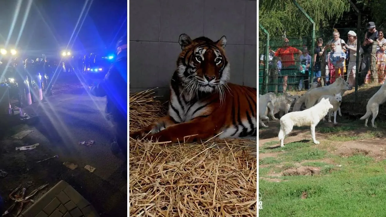 Ministerstwo Klimatu i Środowiska odcina się od interwencji w zoo w Łącznej. Czaty aktywistów mówią coś innego