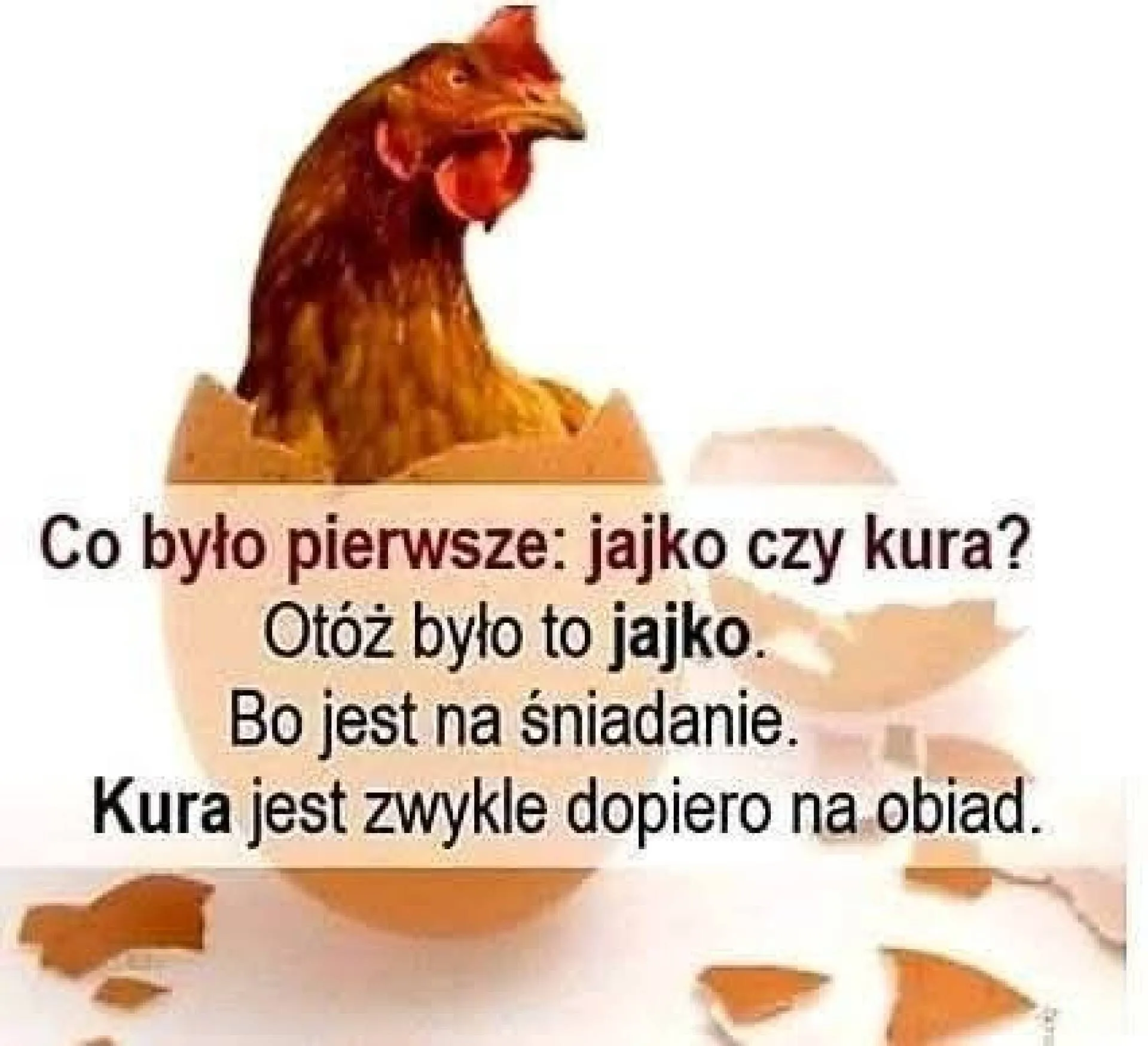 Jajko czy kura?