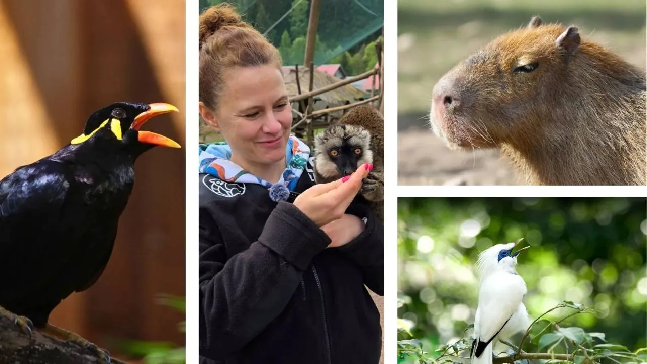 Stres, głód i śmierć: taką cenę zapłaciły zwierzęta z Łącznej za czterodniową "opiekę" prokuratury i animalsów