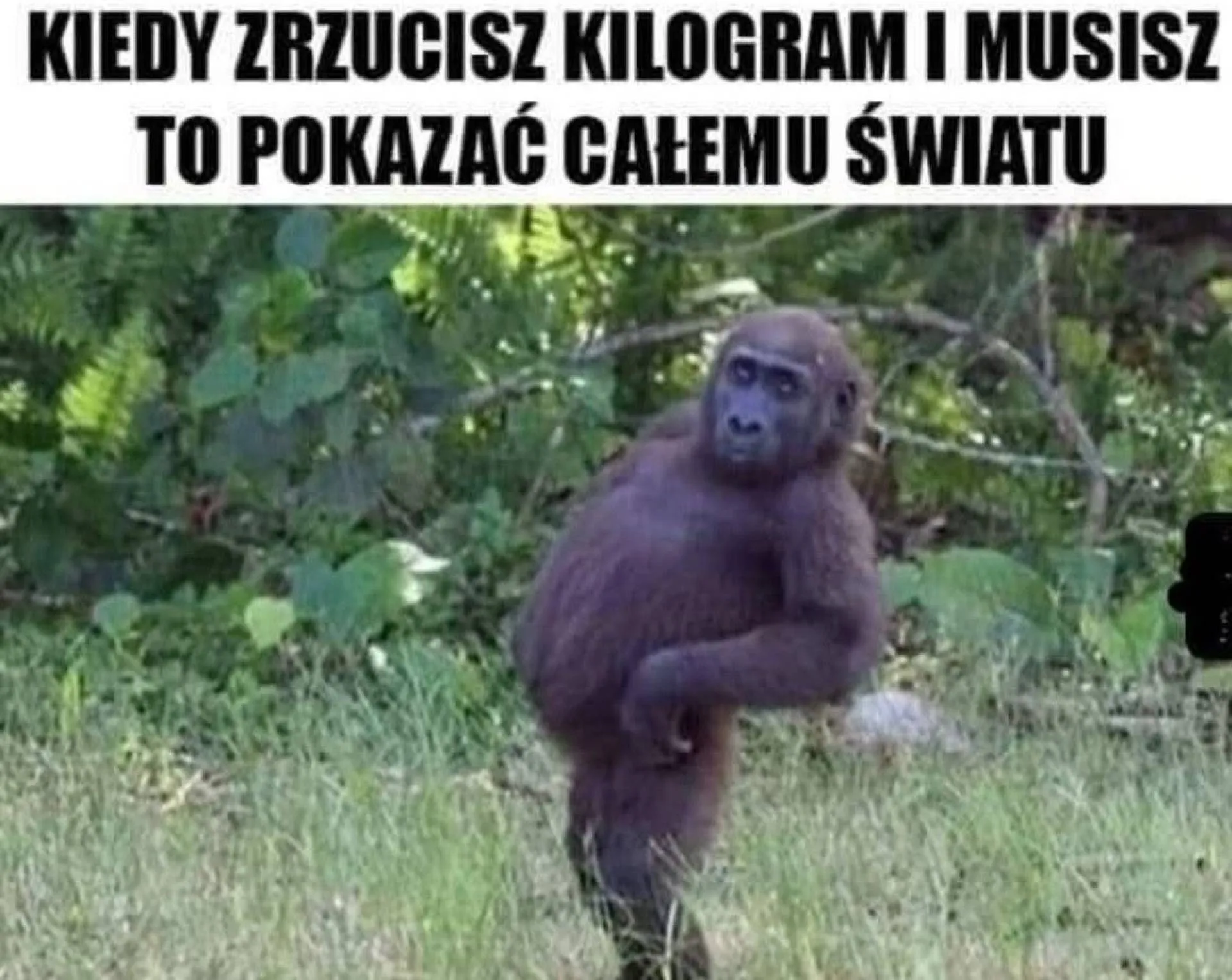 Odchudzanie