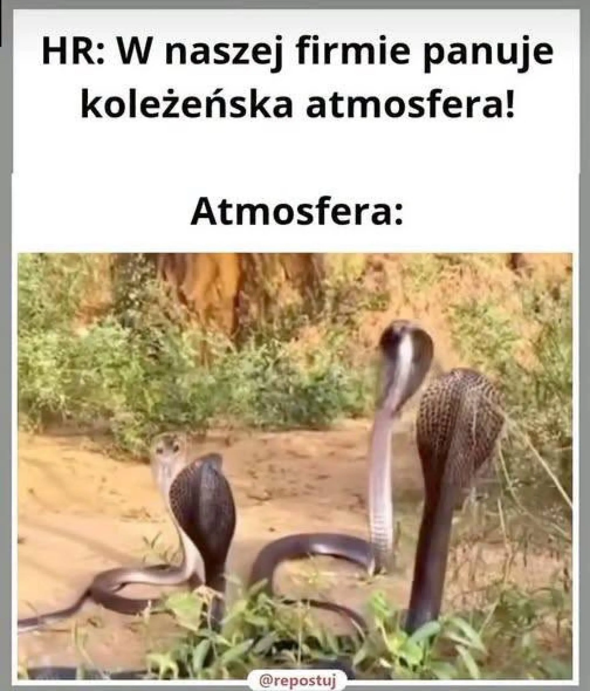 Atmosfera