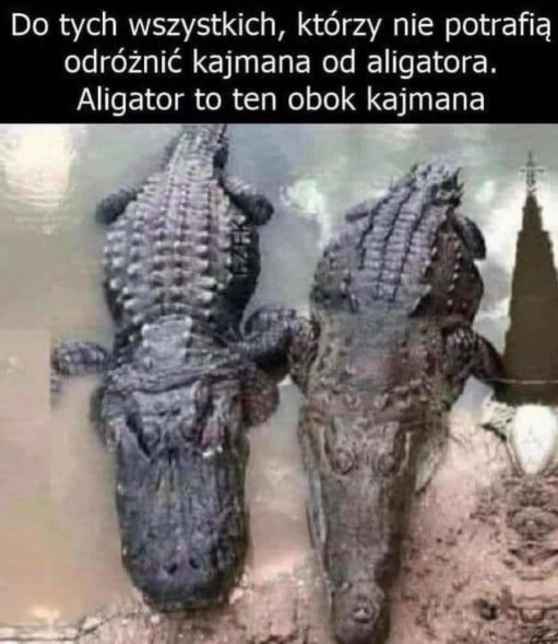 I wszystko jasne