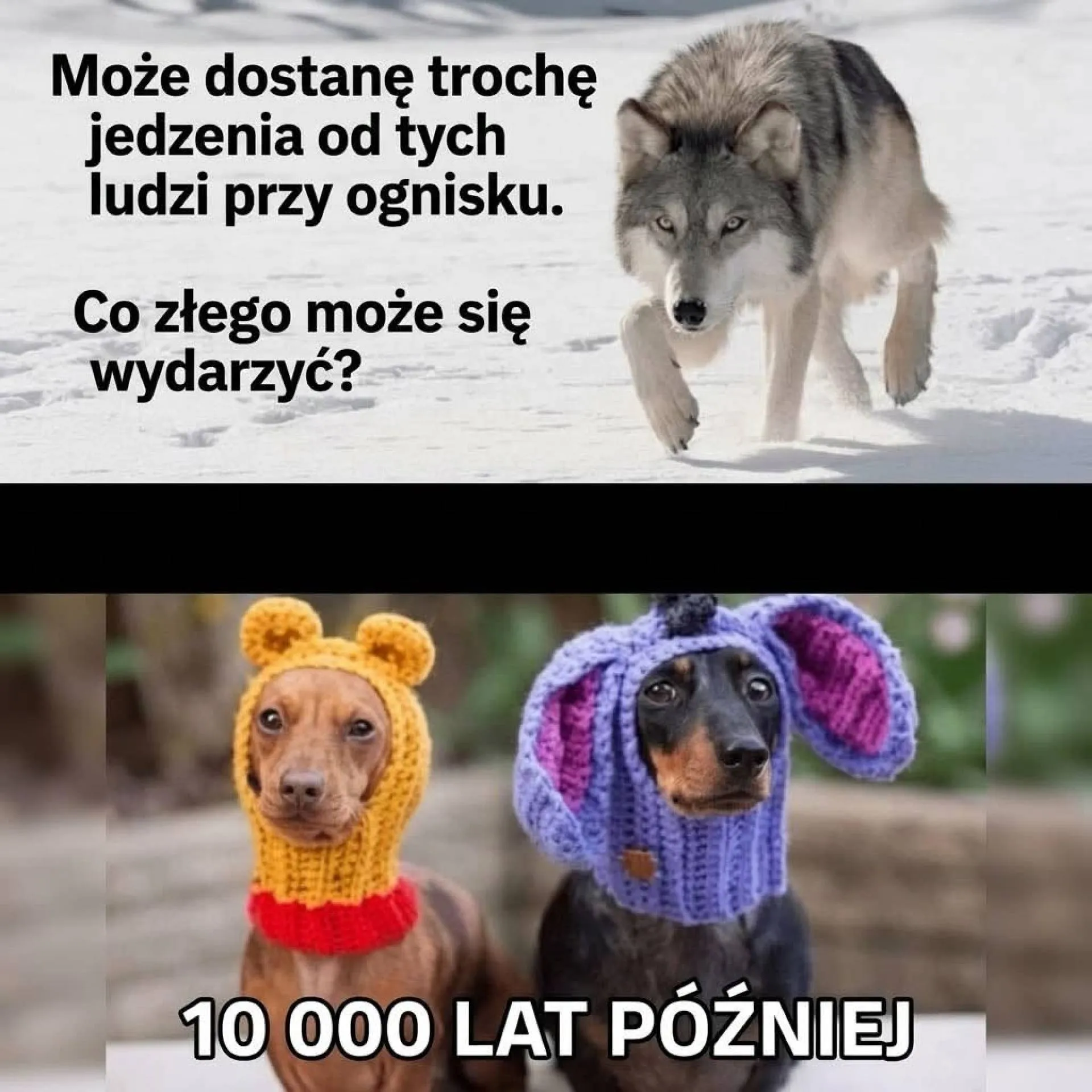 Tak wyszło