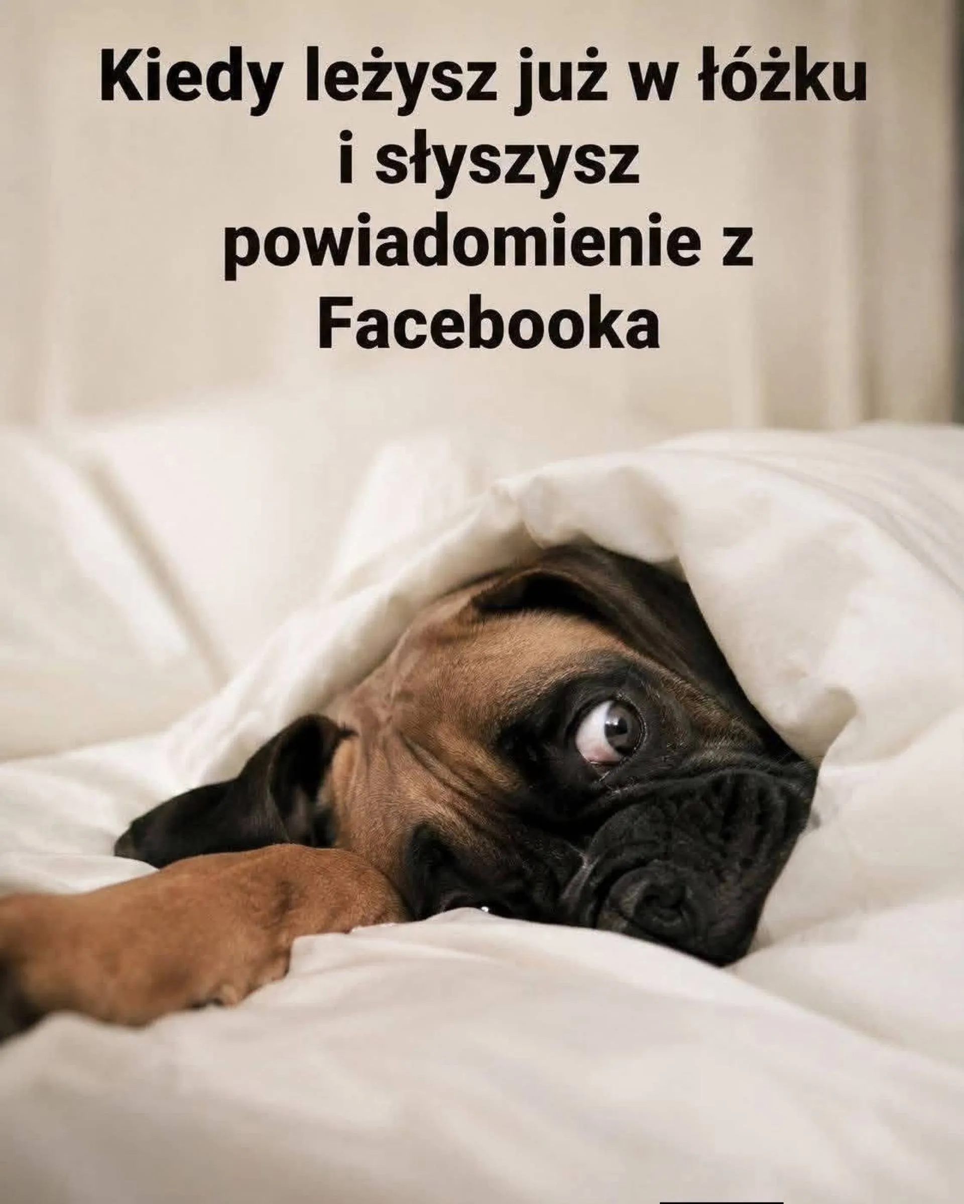 Jeszcze spojrzę
