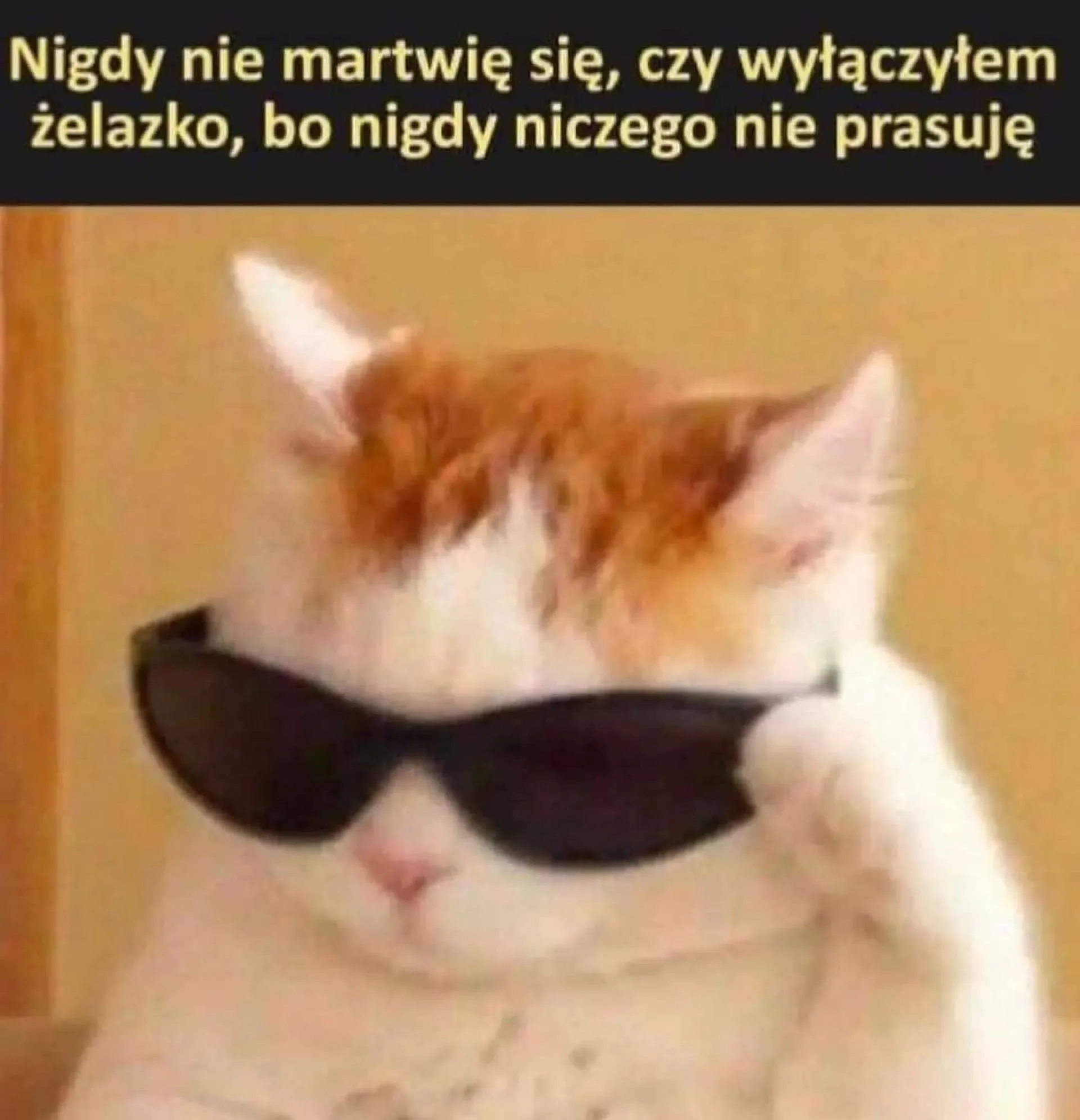 Tak trzeba żyć