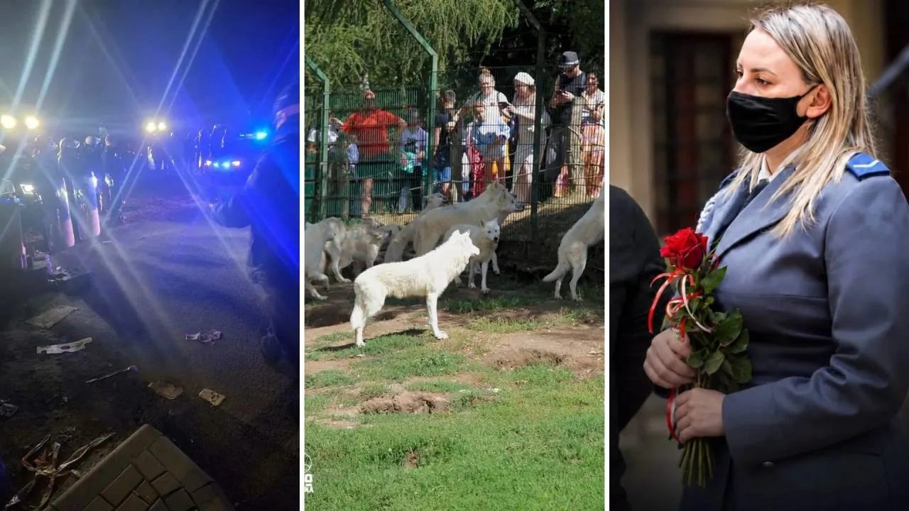 Informowała wolontariuszka, ukarali funkcjonariuszkę. Katarzyna S. nie naruszyła tajemnicy służbowej