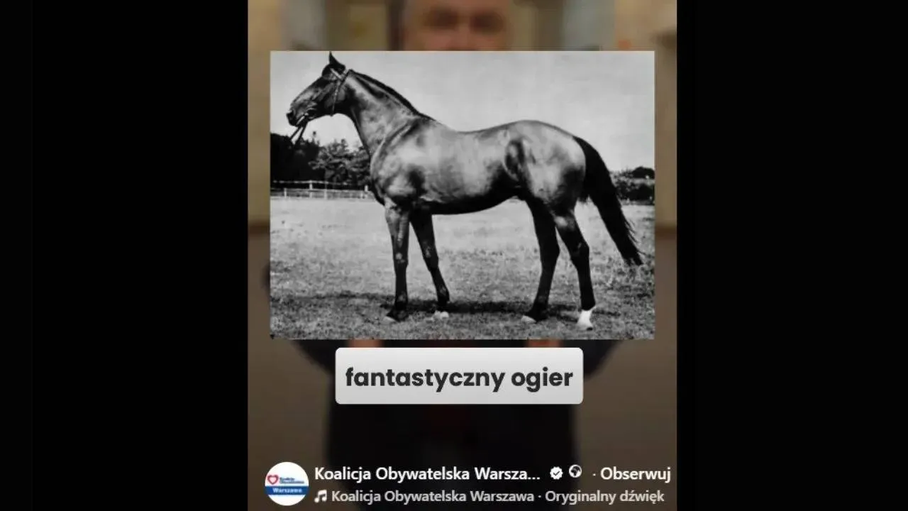 Kolejny koń będzie miał swoją ulicę w Warszawie. Śp. Lech Kaczyński nadal nieuhonorowany w stolicy