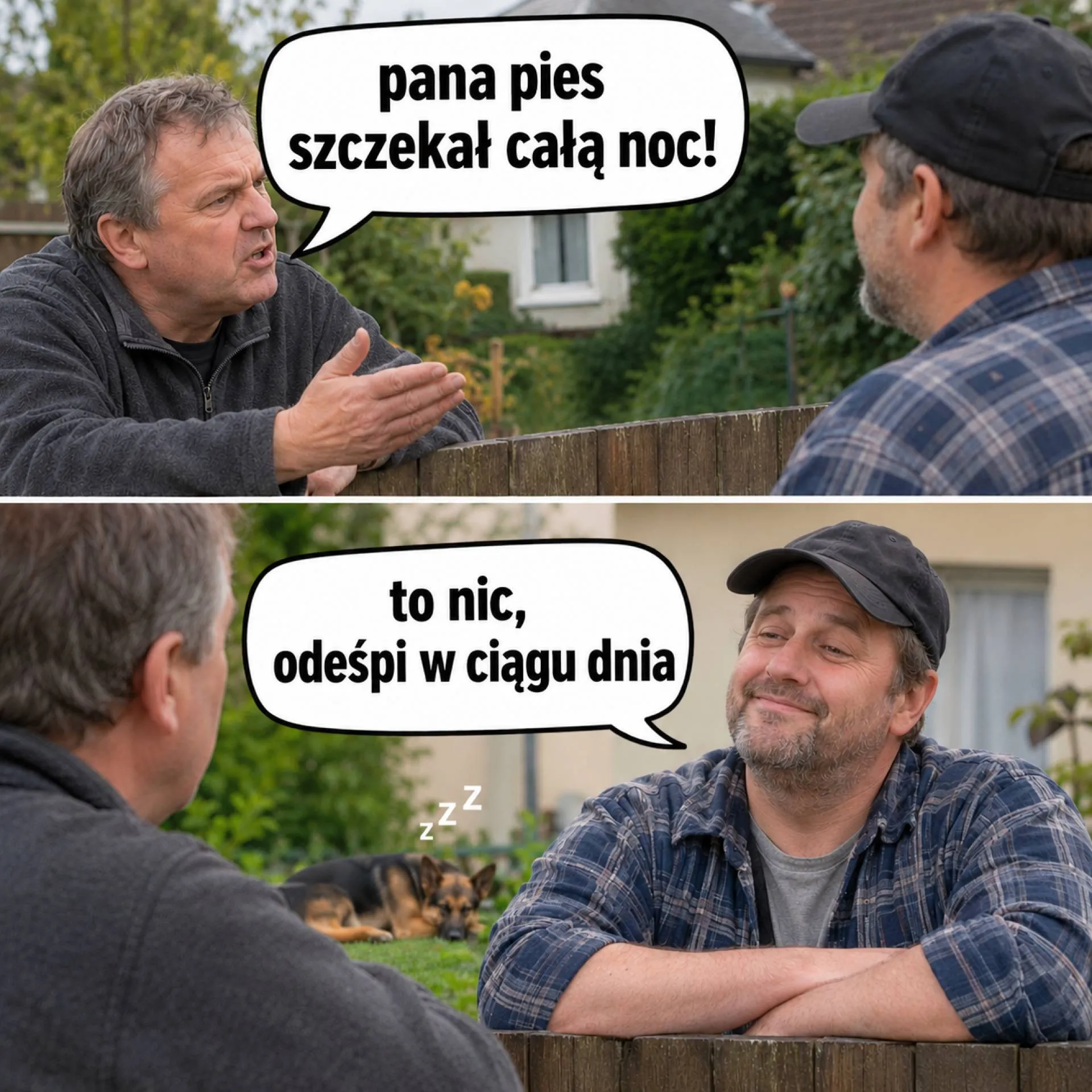 Pies