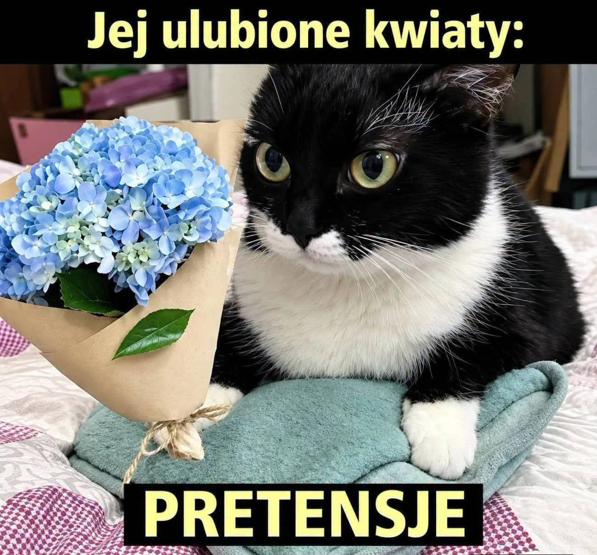 Ulubione kwiaty