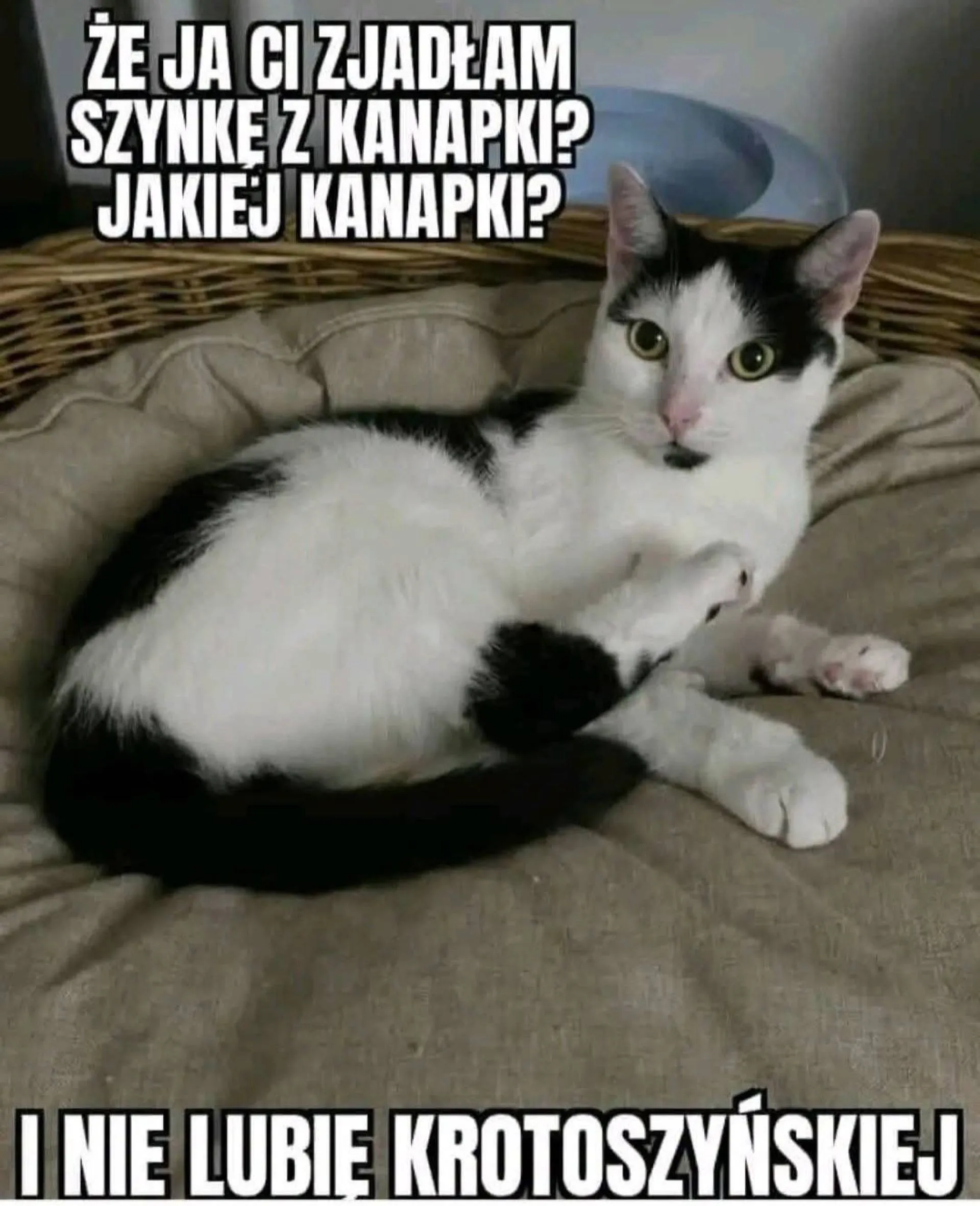 Że ja? Niemożliwe