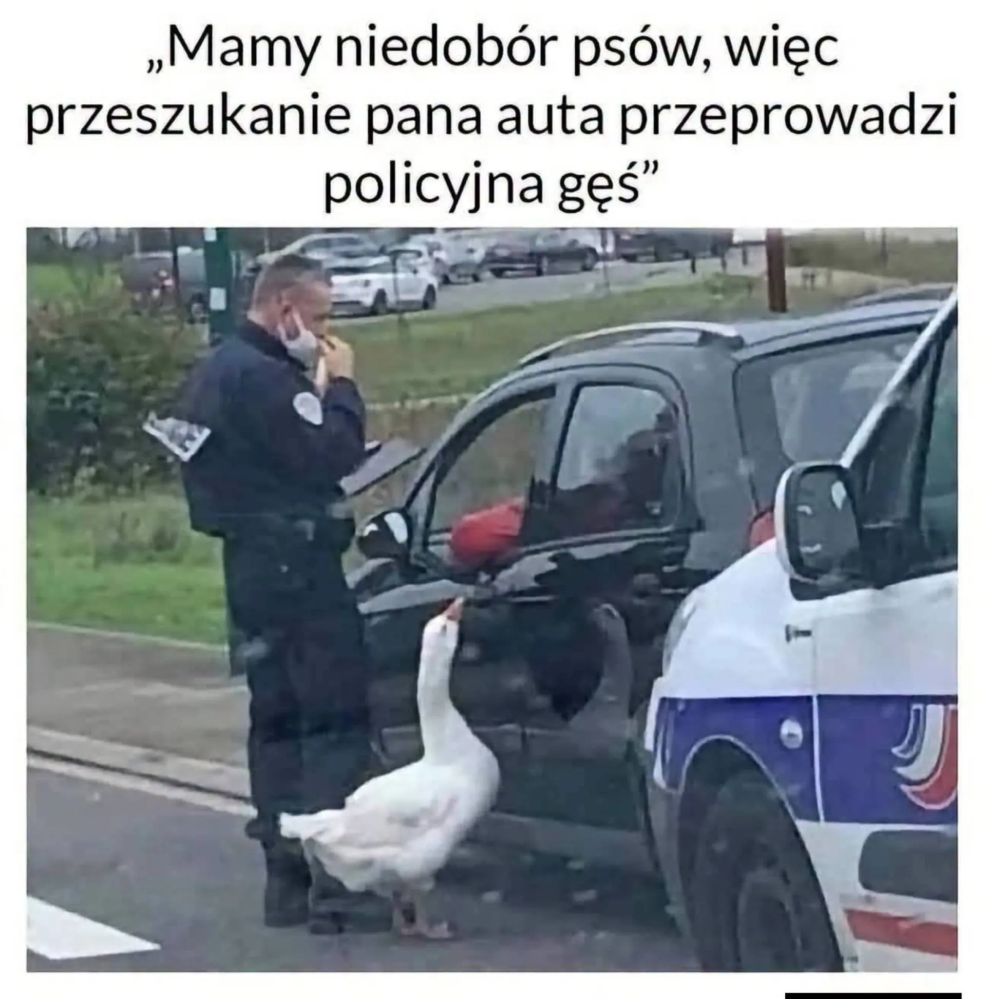 Niedobór